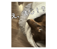 884755399