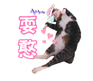 884759820