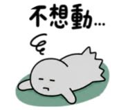 884760081