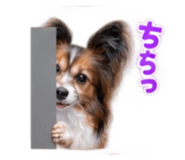884763654