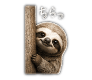 884765403