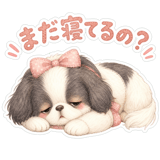 884799916