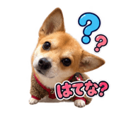 884800208