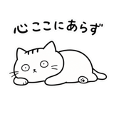 884806915