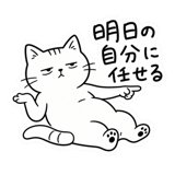 884806919