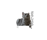 884808244