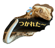 884809490