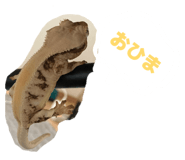 884809491