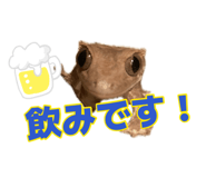 884809492