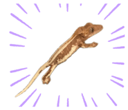 884809494
