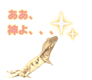 884809497