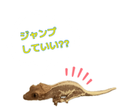 884809498