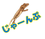 884809499