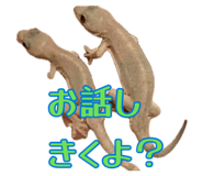 884809507