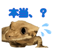 884809510