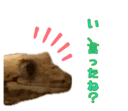 884809511