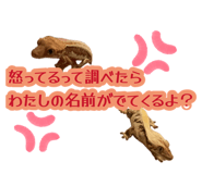 884809516