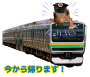 884809518