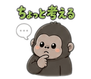884810650