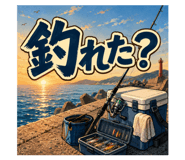 884816017