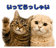 884818422