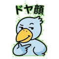 884820256