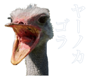 884820350