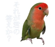 884820351