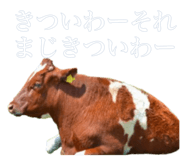884820355