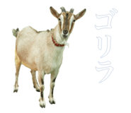 884820364