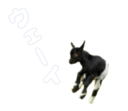 884820365