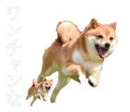 884820369