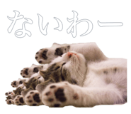 884820371