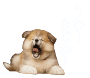 884820372