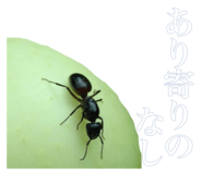 884820373