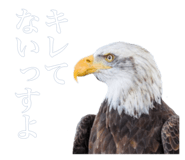 884820377