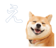 884820379