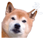 884820380