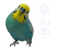 884820383