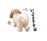 884820687