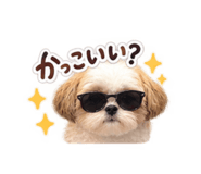 884820695