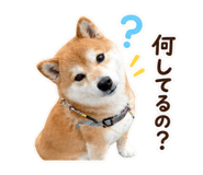 884820923