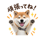 884820924