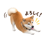 884820929