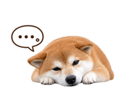 884820934