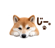 884820935
