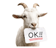 884821349