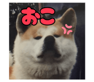 884823189