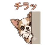 884825200