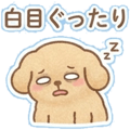 884834305